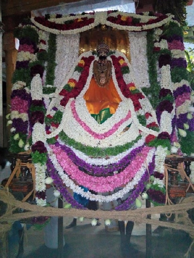 Vanamamalai Sri Deivanayaga Perumal Temple Chithirai Brahmotsavam12