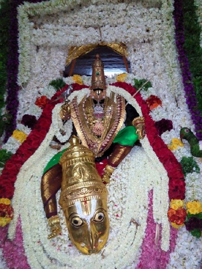 Vanamamalai Sri Deivanayaga Perumal Temple Chithirai Brahmotsavam13