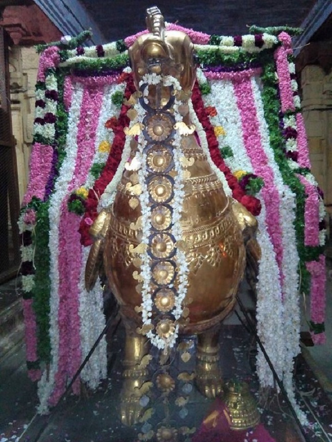 Vanamamalai Sri Deivanayaga Perumal Temple Chithirai Brahmotsavam15