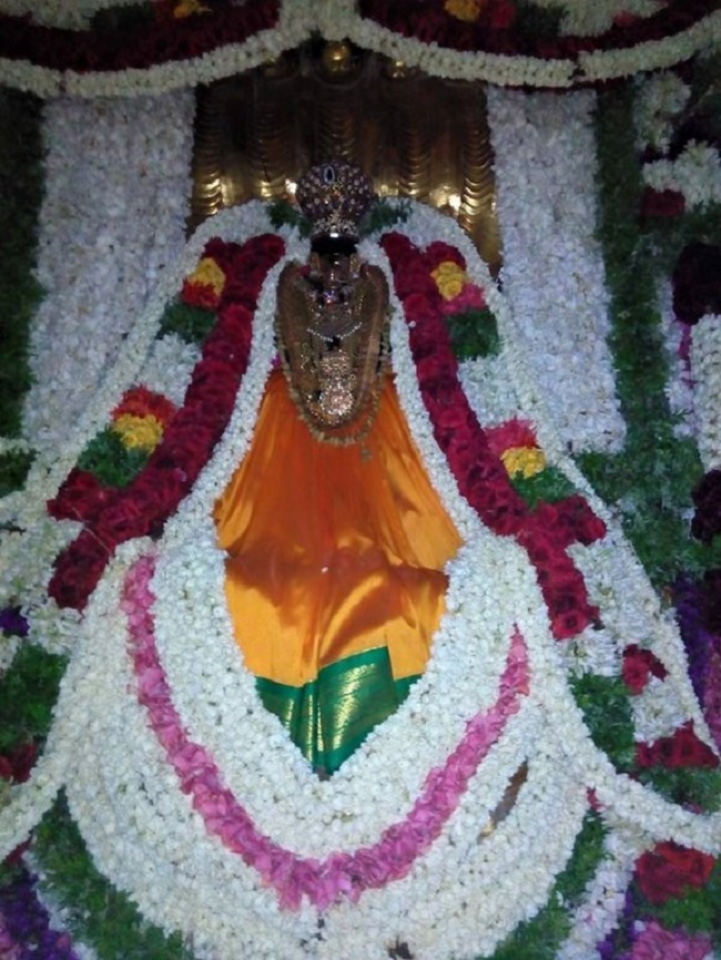 Vanamamalai Sri Deivanayaga Perumal Temple Chithirai Brahmotsavam16