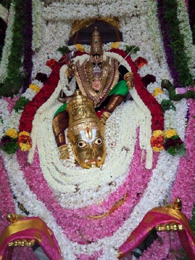 Vanamamalai Sri Deivanayaga Perumal Temple Chithirai Brahmotsavam17