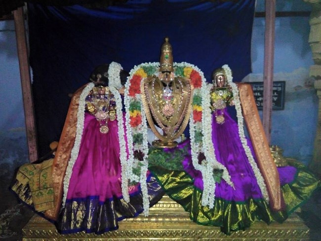 Vanamamalai Sri Deivanayaga Perumal Temple Chithirai Brahmotsavam18