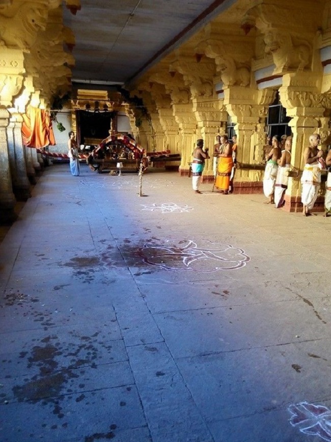 Vanamamalai Sri Deivanayaga Perumal Temple Chithirai Brahmotsavam20