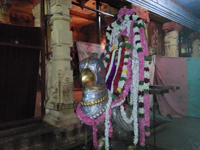 Vanamamalai Sri Deivanayaga Perumal Temple Chithirai Brahmotsavam21