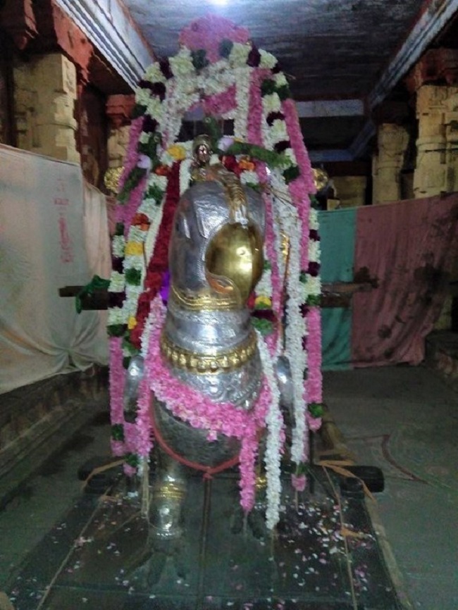 Vanamamalai Sri Deivanayaga Perumal Temple Chithirai Brahmotsavam23