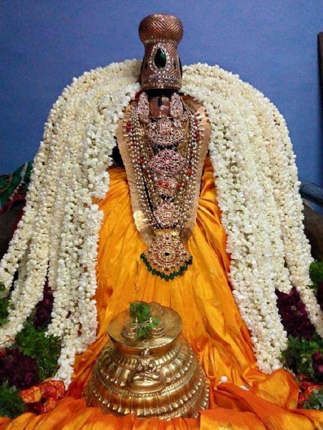Vanamamalai Sri Deivanayaga Perumal Temple Chithirai Brahmotsavam25