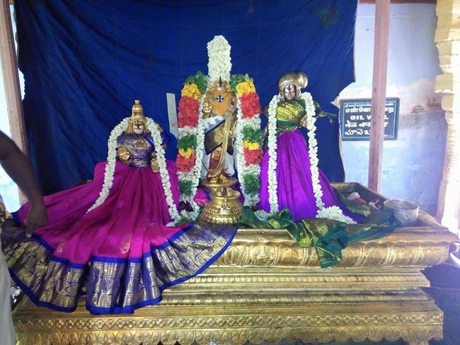 Vanamamalai Sri Deivanayaga Perumal Temple Chithirai Brahmotsavam3