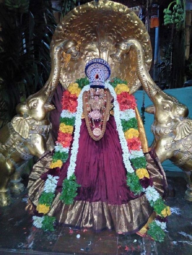 Vanamamalai Sri Deivanayaga Perumal Temple Chithirai Brahmotsavam3