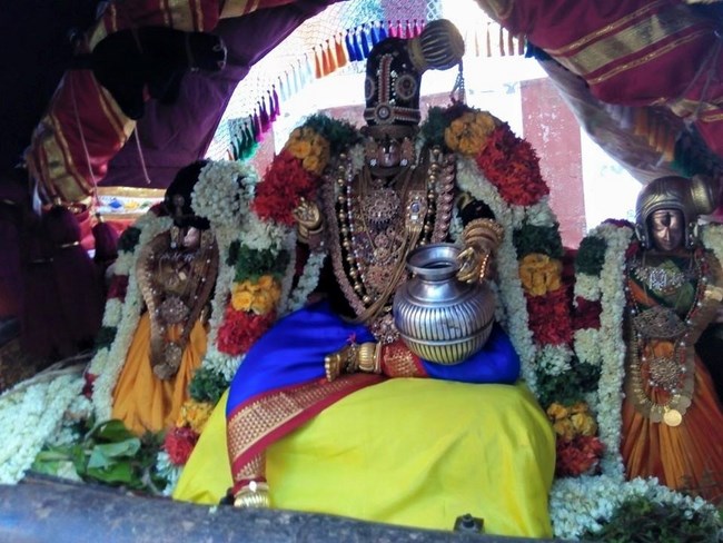 Vanamamalai Sri Deivanayaga Perumal Temple Chithirai Brahmotsavam4