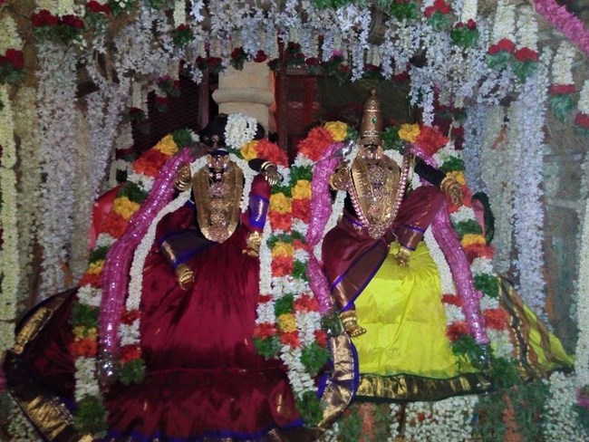Vanamamalai Sri Deivanayaga Perumal Temple Chithirai Brahmotsavam6