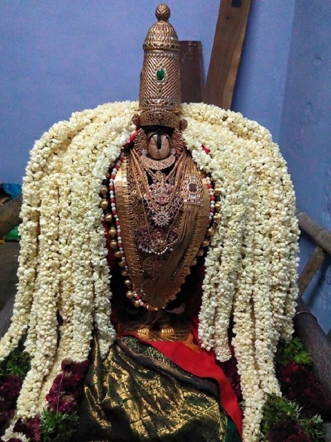 Vanamamalai Sri Deivanayaga Perumal Temple Chithirai Brahmotsavam8