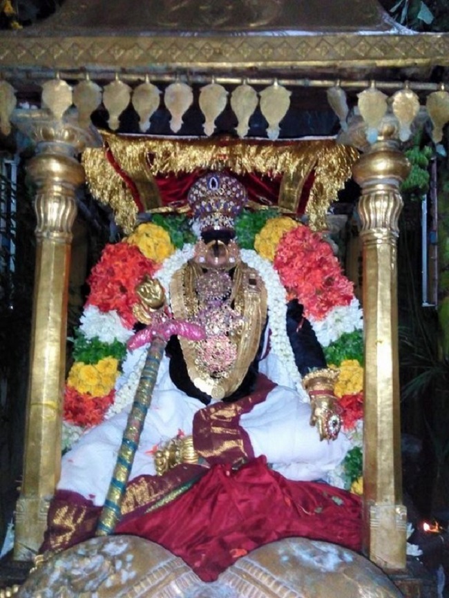 Vanamamalai Sri Deivanayaga Perumal Temple Chithirai Brahmotsavam9