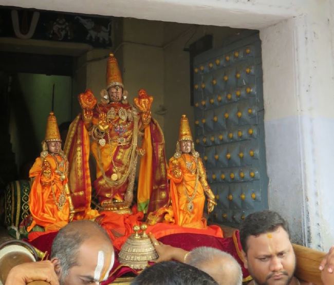 kanchi Devaperumal SRi Bashyakarar Thirunakshatra Utsavam  2015 05