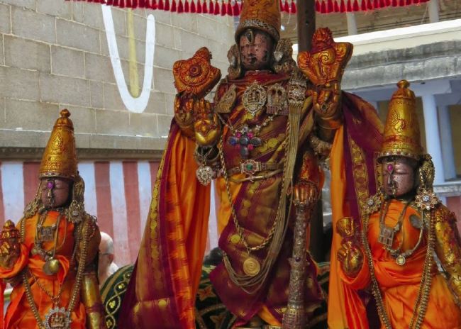 kanchi Devaperumal SRi Bashyakarar Thirunakshatra Utsavam  2015 16