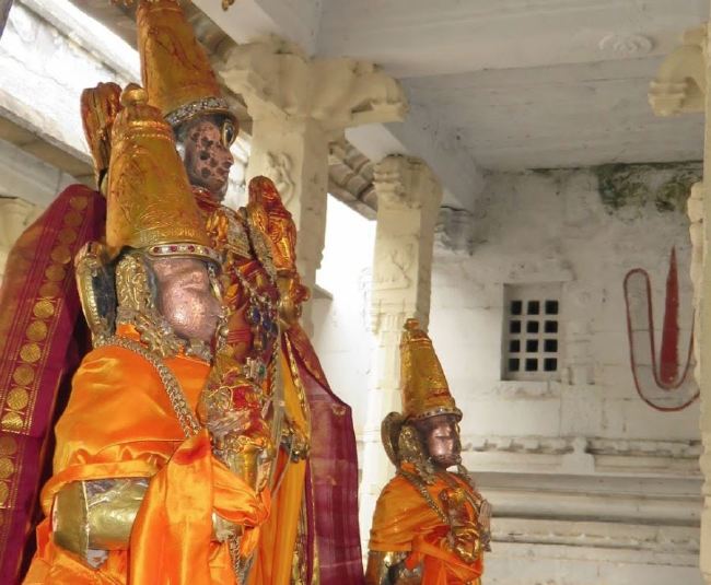kanchi Devaperumal SRi Bashyakarar Thirunakshatra Utsavam  2015 35
