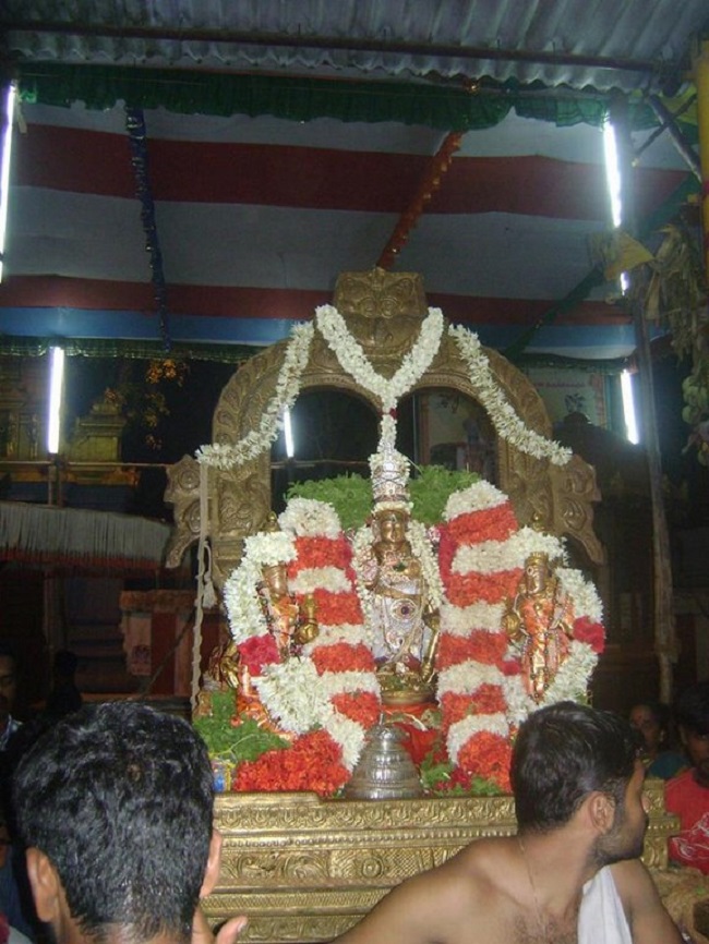Aminjikarai Sri Prasanna Varadaraja Perumal Temple Manmadha Varusha Brahmotsavam10