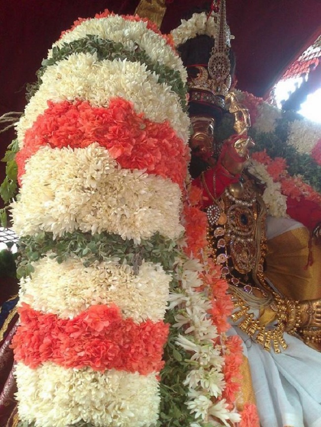 Aminjikarai Sri Prasanna Varadaraja Perumal Temple Manmadha Varusha Brahmotsavam1