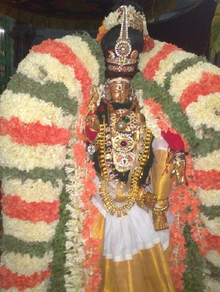 Aminjikarai Sri Prasanna Varadaraja Perumal Temple Manmadha Varusha Brahmotsavam12