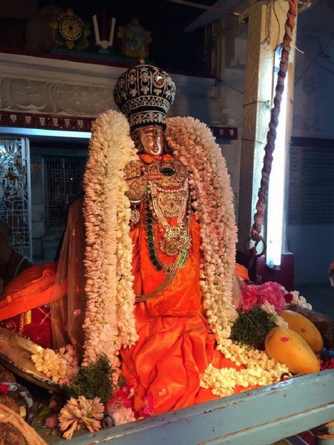 Aminjikarai Sri Prasanna Varadaraja Perumal Temple Manmadha Varusha Brahmotsavam14