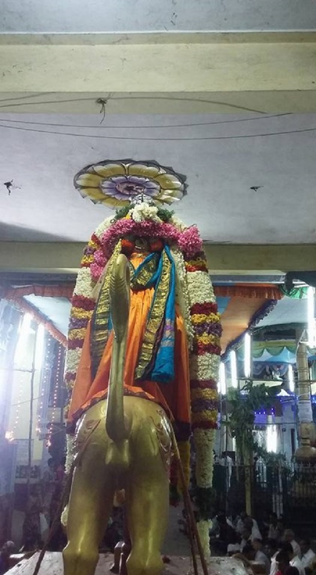 Aminjikarai Sri Prasanna Varadaraja Perumal Temple Manmadha Varusha Brahmotsavam15