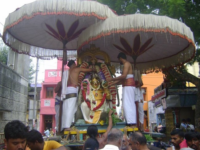 Aminjikarai Sri Prasanna Varadaraja Perumal Temple Manmadha Varusha Brahmotsavam16