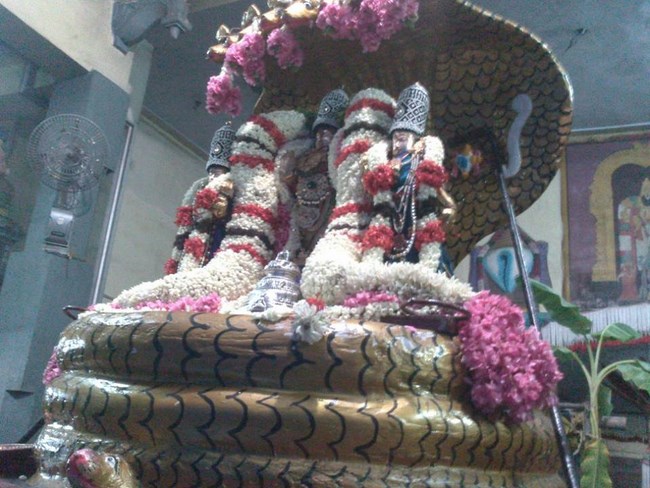 Aminjikarai Sri Prasanna Varadaraja Perumal Temple Manmadha Varusha Brahmotsavam18