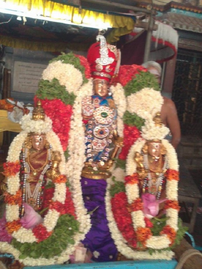 Aminjikarai Sri Prasanna Varadaraja Perumal Temple Manmadha Varusha Brahmotsavam19