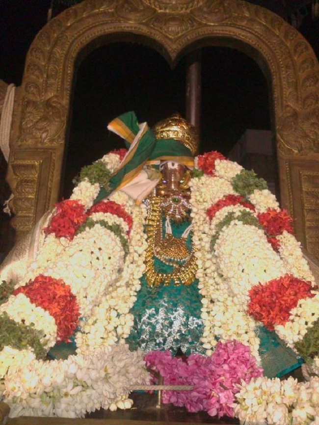 Aminjikarai Sri Prasanna Varadaraja Perumal Temple Manmadha Varusha Brahmotsavam21