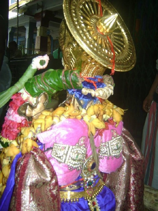 Aminjikarai Sri Prasanna Varadaraja Perumal Temple Manmadha Varusha Brahmotsavam25