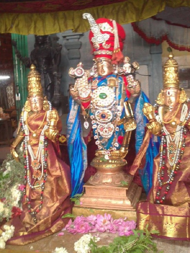 Aminjikarai Sri Prasanna Varadaraja Perumal Temple Manmadha Varusha Brahmotsavam25