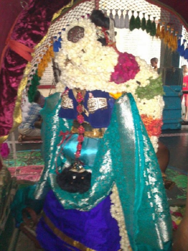 Aminjikarai Sri Prasanna Varadaraja Perumal Temple Manmadha Varusha Brahmotsavam29