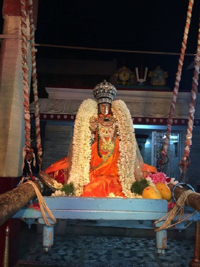 Aminjikarai Sri Prasanna Varadaraja Perumal Temple Manmadha Varusha Brahmotsavam30