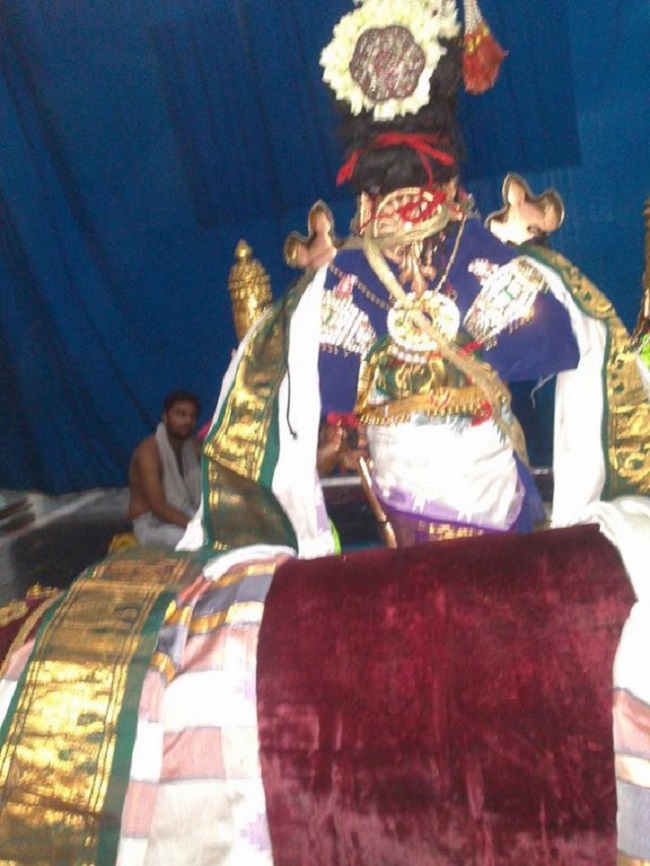 Aminjikarai Sri Prasanna Varadaraja Perumal Temple Manmadha Varusha Brahmotsavam30
