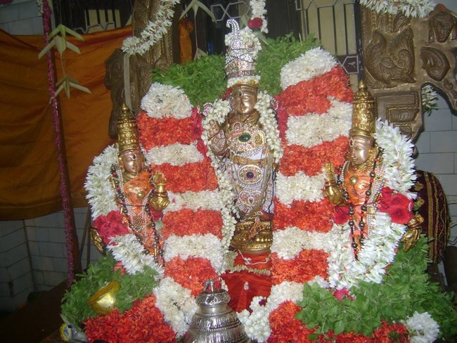 Aminjikarai Sri Prasanna Varadaraja Perumal Temple Manmadha Varusha Brahmotsavam3