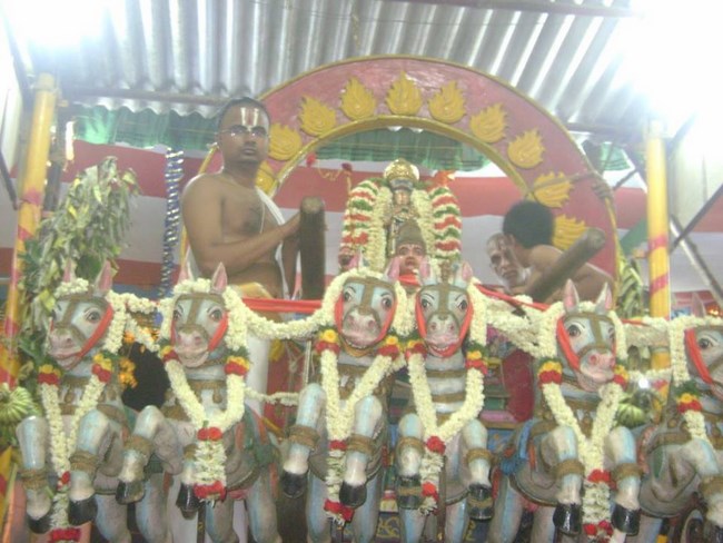 Aminjikarai Sri Prasanna Varadaraja Perumal Temple Manmadha Varusha Brahmotsavam36