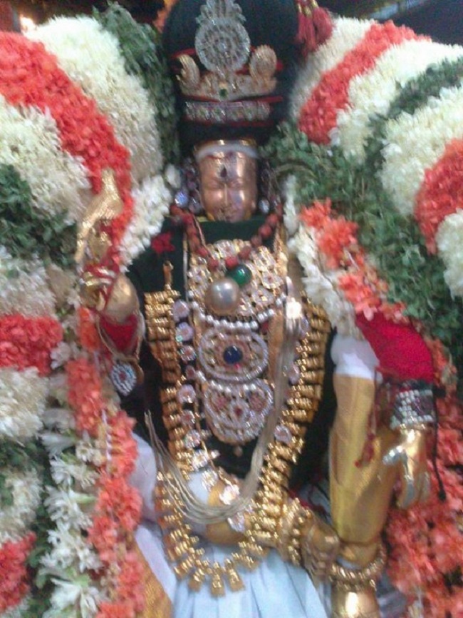 Aminjikarai Sri Prasanna Varadaraja Perumal Temple Manmadha Varusha Brahmotsavam3