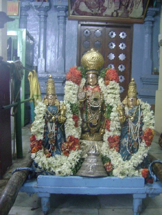 Aminjikarai Sri Prasanna Varadaraja Perumal Temple Manmadha Varusha Brahmotsavam6