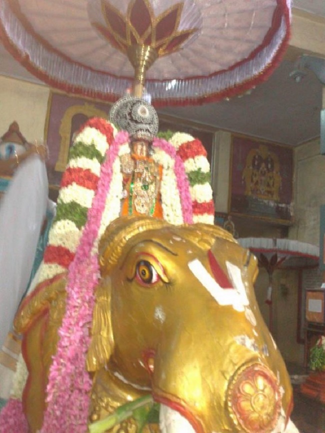 Aminjikarai Sri Prasanna Varadaraja Perumal Temple Manmadha Varusha Brahmotsavam6