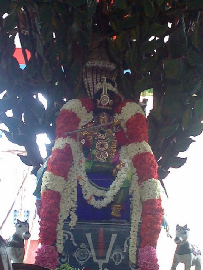 Aminjikarai Sri Prasanna Varadaraja Perumal Temple Manmadha Varusha Brahmotsavam7