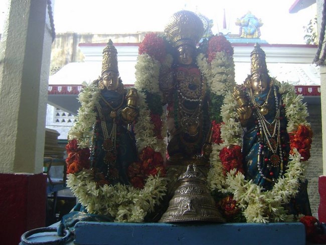 Aminjikarai Sri Prasanna Varadaraja Perumal Temple Manmadha Varusha Brahmotsavam8