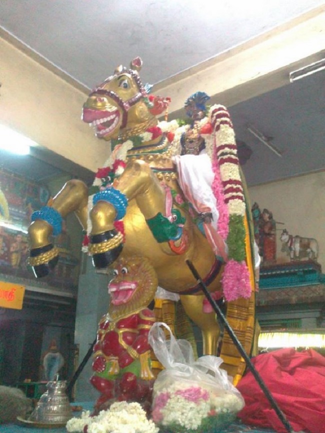 Aminjikarai Sri Prasanna Varadaraja Perumal Temple Manmadha Varusha Brahmotsavam9