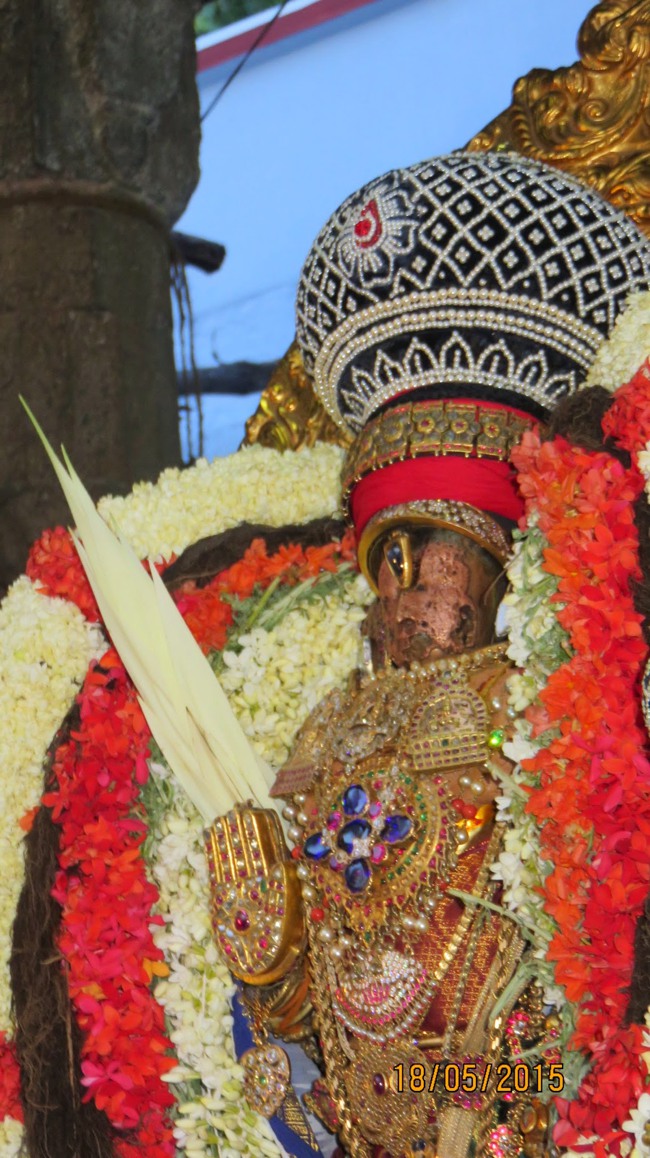 Kanchi Sri Devarajaswami Temple Vasanthotsavam day 3 2015-01