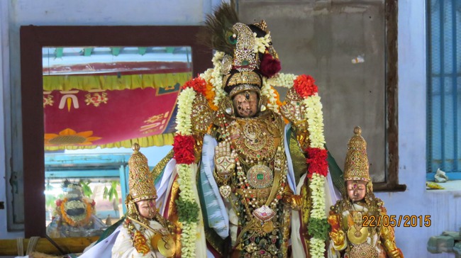 Kanchi Sri Devarajaswami Temple Vasanthotsavam day 7 2015-06