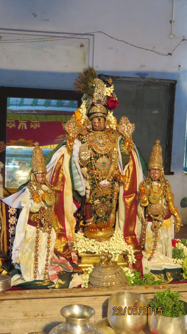 Kanchi Sri Devarajaswami Temple Vasanthotsavam day 7 2015-09