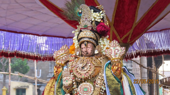 Kanchi Sri Devarajaswami Temple Vasanthotsavam day 7 2015-15