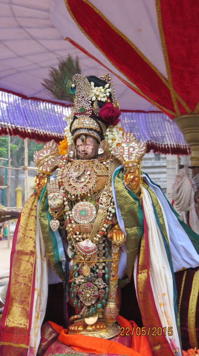 Kanchi Sri Devarajaswami Temple Vasanthotsavam day 7 2015-16