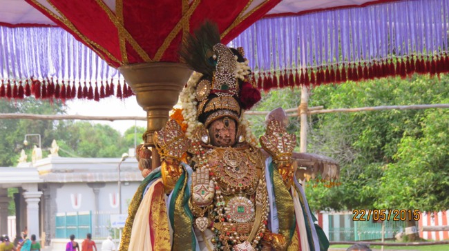 Kanchi Sri Devarajaswami Temple Vasanthotsavam day 7 2015-19