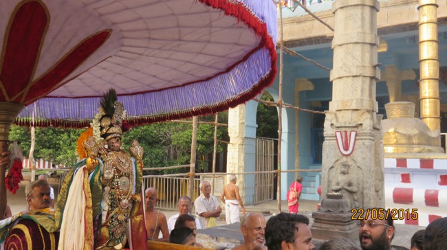 Kanchi Sri Devarajaswami Temple Vasanthotsavam day 7 2015-20