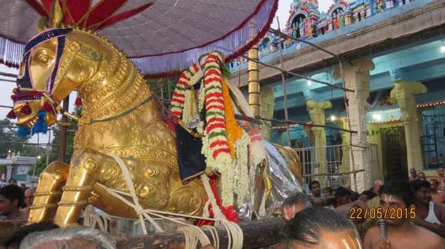 Kanchi Sri Devarajaswami Temple Vasanthotsavam day 7 2015-28