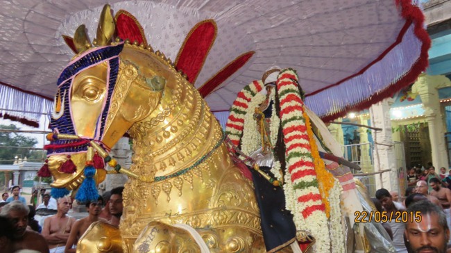 Kanchi Sri Devarajaswami Temple Vasanthotsavam day 7 2015-29